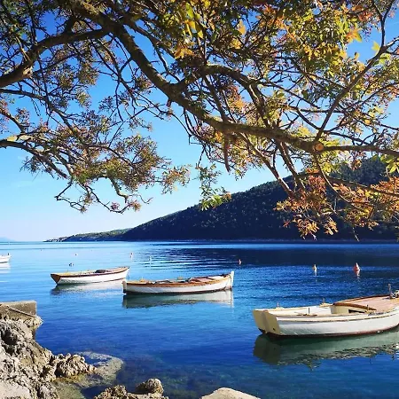 Gogli With Private Pool In Rabac Labin Villa Nedescina