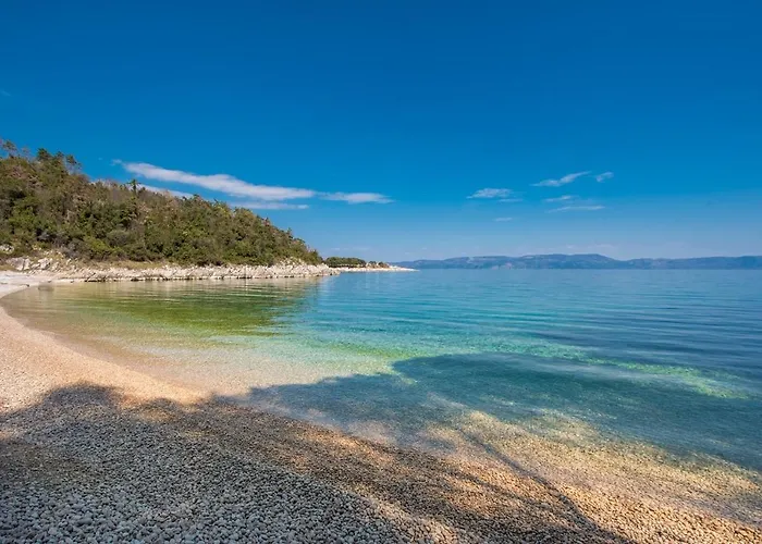 Villa Gogli With Private Pool In Rabac Labin